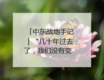 中东战地手记｜“几十年过去了，我们没有变得更安全”