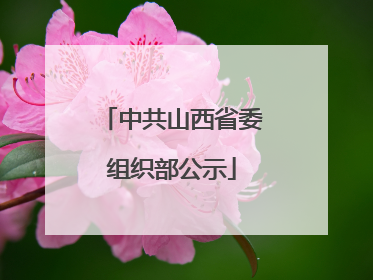 中共山西省委组织部公示
