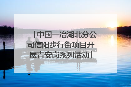 中国一冶湖北分公司信阳步行街项目开展青安岗系列活动