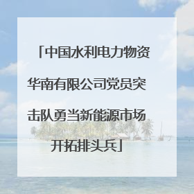 中国水利电力物资华南有限公司党员突击队勇当新能源市场开拓排头兵