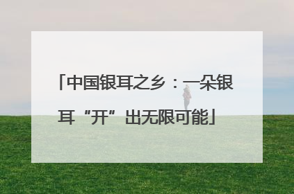 中国银耳之乡：一朵银耳“开”出无限可能