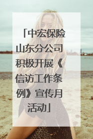 中宏保险山东分公司积极开展《信访工作条例》宣传月活动