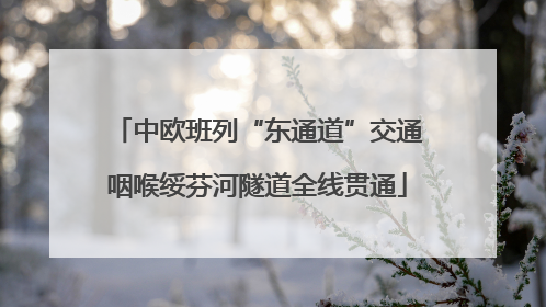 中欧班列“东通道”交通咽喉绥芬河隧道全线贯通