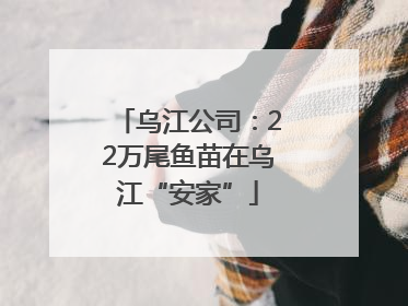 乌江公司：22万尾鱼苗在乌江“安家”