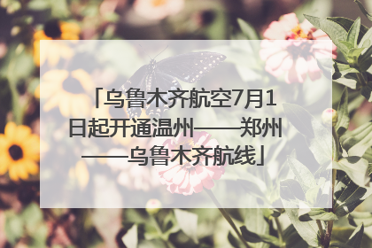 乌鲁木齐航空7月1日起开通温州——郑州——乌鲁木齐航线