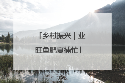乡村振兴｜业旺鱼肥夏捕忙