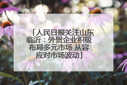 人民日报关注山东临沂：外贸企业积极布局多元市场 从容应对市场波动