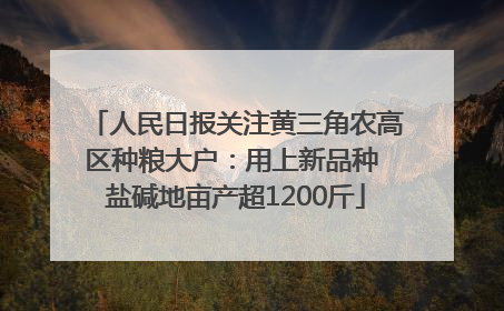 人民日报关注黄三角农高区种粮大户：用上新品种 盐碱地亩产超1200斤