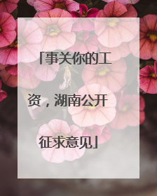 事关你的工资，湖南公开征求意见