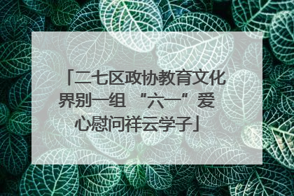 二七区政协教育文化界别一组 “六一”爱心慰问祥云学子