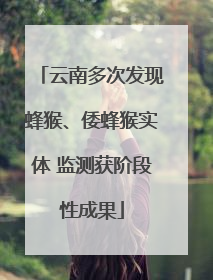 云南多次发现蜂猴、倭蜂猴实体 监测获阶段性成果