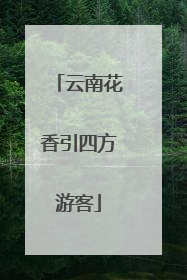 云南花香引四方游客