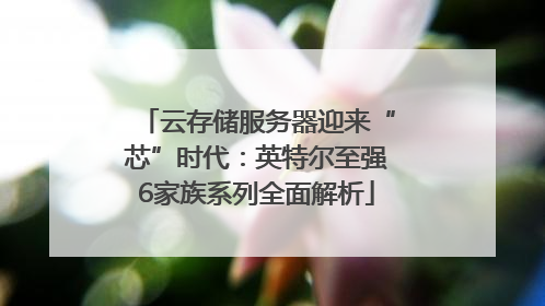云存储服务器迎来“芯”时代：英特尔至强6家族系列全面解析