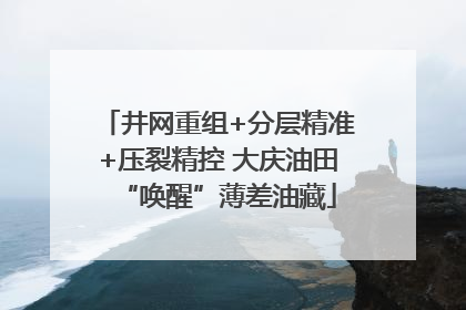井网重组+分层精准+压裂精控 大庆油田“唤醒”薄差油藏