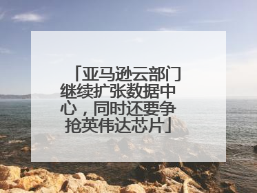 亚马逊云部门继续扩张数据中心，同时还要争抢英伟达芯片