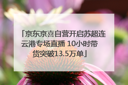 京东京喜自营开启苏超连云港专场直播 10小时带货突破13.5万单