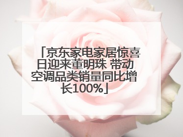 京东家电家居惊喜日迎来董明珠 带动空调品类销量同比增长100%