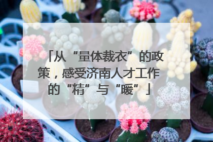 从“量体裁衣”的政策，感受济南人才工作的“精”与“暖”