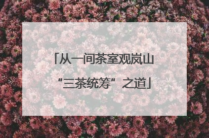 从一间茶室观岚山“三茶统筹”之道