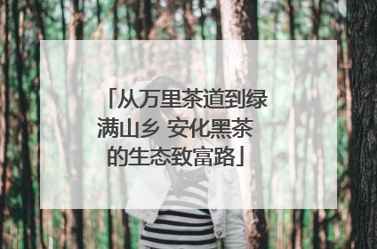 从万里茶道到绿满山乡 安化黑茶的生态致富路