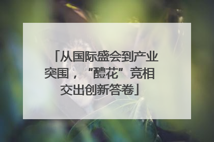 从国际盛会到产业突围，“醴花”竞相交出创新答卷