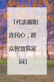 代表履职连民心，群众智慧筑家园
