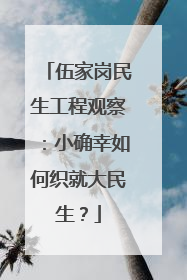 伍家岗民生工程观察：小确幸如何织就大民生？