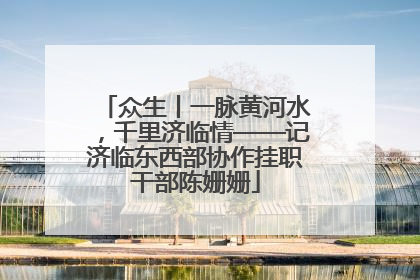 众生丨一脉黄河水，千里济临情——记济临东西部协作挂职干部陈姗姗