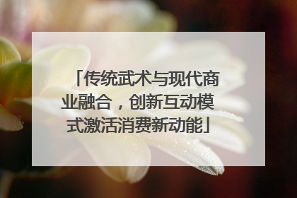 传统武术与现代商业融合，创新互动模式激活消费新动能
