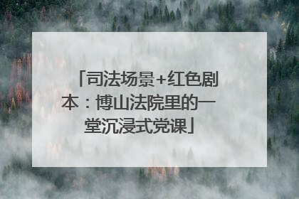 司法场景+红色剧本：博山法院里的一堂沉浸式党课
