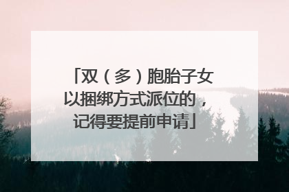 双（多）胞胎子女以捆绑方式派位的，记得要提前申请