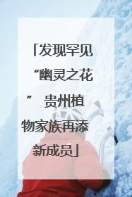 发现罕见“幽灵之花” 贵州植物家族再添新成员