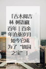 古木阅吉林 树语藏百年｜百余年沧桑岁月 如今它成为了“镇园之宝”