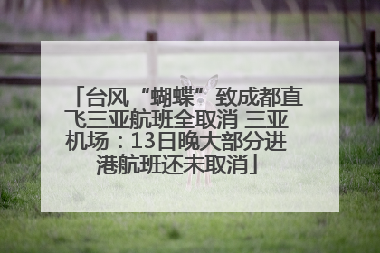 台风“蝴蝶”致成都直飞三亚航班全取消 三亚机场：13日晚大部分进港航班还未取消