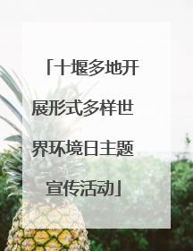 十堰多地开展形式多样世界环境日主题宣传活动
