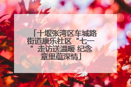 十堰张湾区车城路街道康乐社区“七一”走访送温暖 纪念章里蕴深情