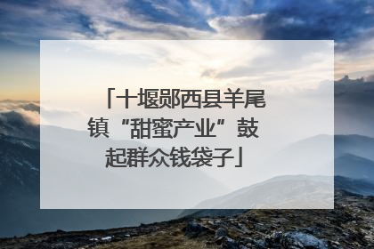 十堰郧西县羊尾镇“甜蜜产业”鼓起群众钱袋子