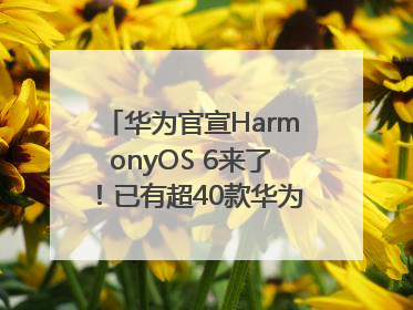 华为官宣HarmonyOS 6来了！已有超40款华为终端搭载鸿蒙5，开发者突破800万