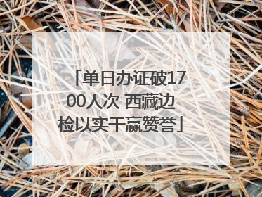 单日办证破1700人次 西藏边检以实干赢赞誉