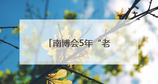南博会5年“老朋友” 云铝股份不断擦亮云南制造“绿名片”