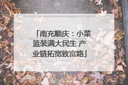 南充顺庆：小菜篮装满大民生 产业链拓宽致富路