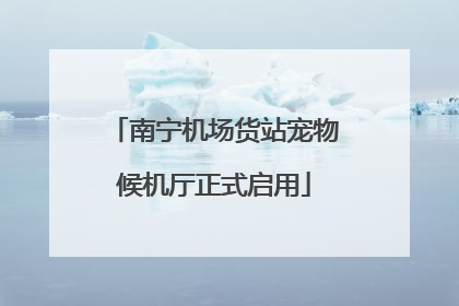 南宁机场货站宠物候机厅正式启用