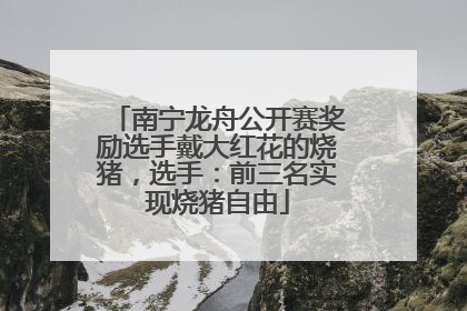 南宁龙舟公开赛奖励选手戴大红花的烧猪，选手：前三名实现烧猪自由