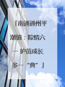 南通通州平潮镇：粽情六一 护苗成长多一“典”