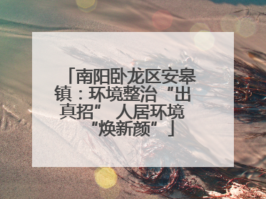 南阳卧龙区安皋镇：环境整治“出真招” 人居环境“焕新颜”