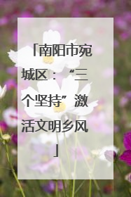 南阳市宛城区：“三个坚持”激活文明乡风