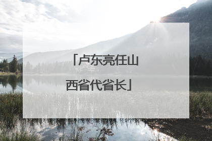 卢东亮任山西省代省长