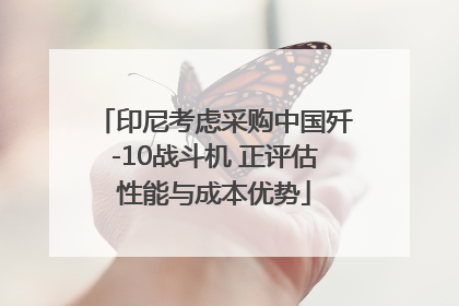 印尼考虑采购中国歼-10战斗机 正评估性能与成本优势