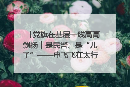 党旗在基层一线高高飘扬｜是民警、是“儿子”——申飞飞在太行山中的一线坚守