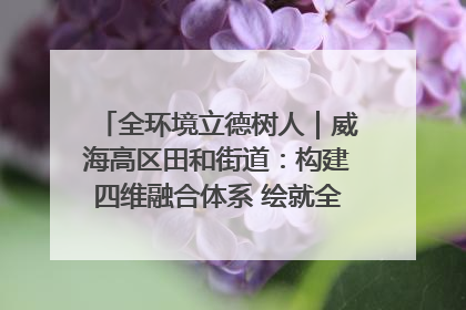 全环境立德树人｜威海高区田和街道：构建四维融合体系 绘就全环境立德树人新画卷